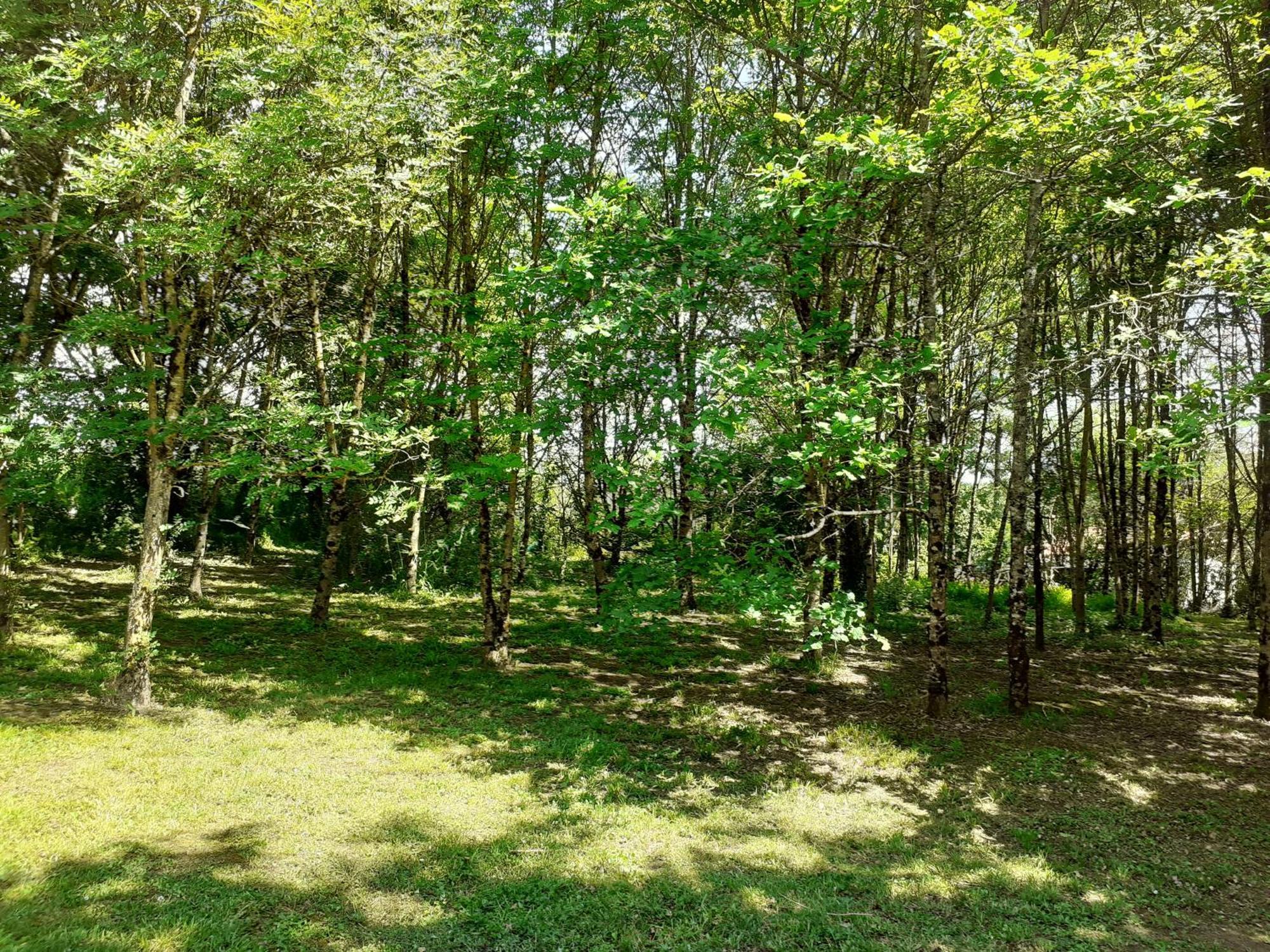 La Villa Le Petit Bois, Pres Rocamadour, Padirac Lavergne  Exterior photo